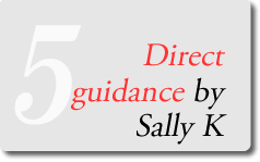 Direct guidance by Sally K